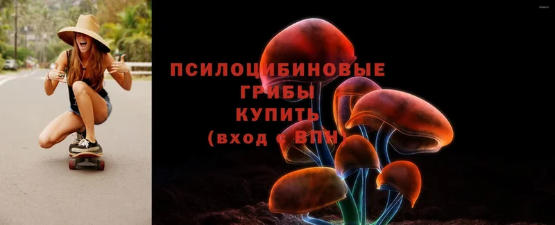 Галлюциногенные грибы Psilocybe  купить закладку  Бабушкин 